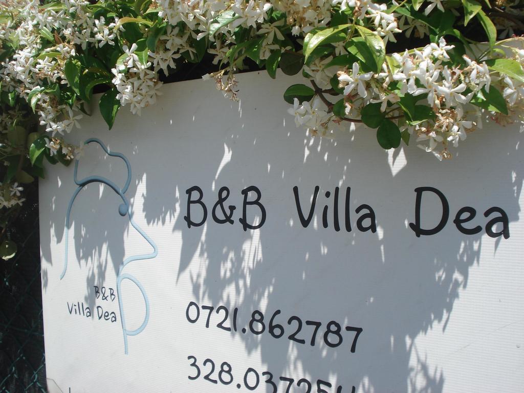 Villa Dea Fano Exterior photo